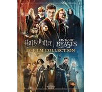 Wizarding World 10-Film Collection (20th Anniversary)