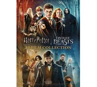 Wizarding World 10-Film Collection - 20th Anniversary (DVD)