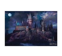 Wizarding World Poster (10c) Harry Potter Hogwarts (61x91,5)
