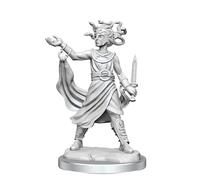 WizKids D&D Frameworks: Medusa - Unpainted and Unassembled