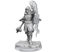 WizKids D&D Le meravigliose miniature di Nolzur: Miniature di sotterranei e draghi non verniciati di stregone a metà elfo