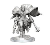 WizKids Le meravigliose miniature di D&D Nolzur: miniature di Dungeons e draghi maschili chierici di Aasimar