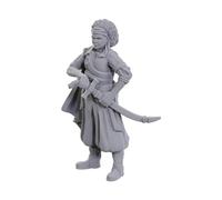 Wizkids - D&D Nolzurs Marvelous Miniatures - Ansalon Human Rogue - Wave 23