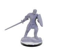 WizKids D&D Nolzur's Marvelous Miniatures: Reborn Paladin & Warlock Dungeons and