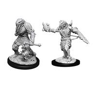 WizKids Miniature non dipinte Nolzur's Marvelous Miniatures – Dragonborn maschio Paladino C