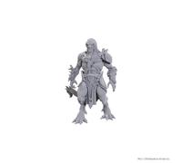 Wizkids - D&D Nolzurs Marvelous Miniatures: Wave 25 - Draconian Mastermind