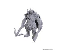 WizKids Dungeons & Dragons Nolzur's Marvelous Miniatures Unpainted Miniatures