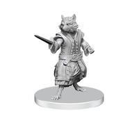 WizKids Pathfinder Battles Deep Cuts: Procyal (Raccoon Agathion) e Zoaem (Ring A