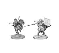WizKids Pathfinder: Deep Cuts Unpainted Miniature: Human Femmina Paladin