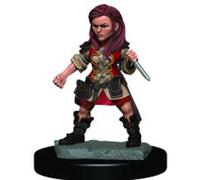 WizKids WZK93019 Accessories
