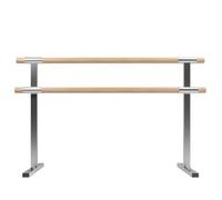 WJFTODAY Sbarra per Balletto Portatile Doppia per Balletto ad Altezza Fissa per Piccoli stezza Fissa per Piccoli spazi con Base Antiscivolo per Palestra di Stretching, Metallica - 100 cm/39,3 Pollici