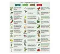 WJZJSVWTAU Companion Planting Guide - Garden Planning Chart for Healthy Vegetables & Herbs - Useful Wall Art for the Gardening Enthusiast's Home, Patio or Greenhouse(Unframed,08x12inch(20x30cm))