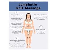 WJZJSVWTAU For the Biology Enthusiast Wall Decor - Artistic Rendering of the Human Lymphatic System - Unique Canvas Print for Home, Study(Unframed,08x12inch(20x30cm))