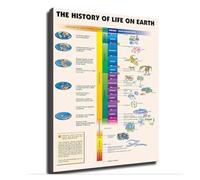 WJZJSVWTAU Gift for Science Lovers - Evolution of Life on Earth Poster, Natural History Art Print for Students, Teachers, Biology Enthusiasts(Unframed,12x18inch(30x45cm))