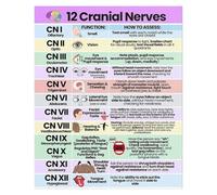 WJZJSVWTAU Human Cranial Nerves Educational Poster - Complete Set with Numbers & Functions, Durable Canvas Wall Chart for Healthcare Training(Framed,08x12inch(20x30cm))