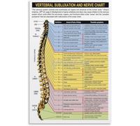 WJZJSVWTAU Vertebral Column Educational Poster, Spine and Central Nervous System Anatomy, Science Teacher Resource Wall Art (Framed,16x24inch(40x60cm))