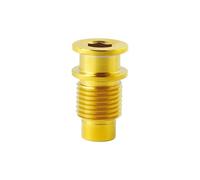 WKAIYUAN Bullone dell'albero di rotazione del deragliatore posteriore UT R8000 for bici da corsa, vite dell'asse di fissaggio del cambio della bicicletta, titanio M10x20,5 mm(Gold)