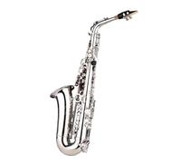 WKRTGFHJ Sassofono Professionale Sassofono in Ottone con Motivo Intagliato sulla Superficie in EB Be Contralto E Flat Squisito con Guanti Spazzolini in Tessuto Cinghie(Silver)