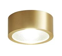 WLBHWL Faretto da Incasso Rotondo in Oro Home LED Retrofit in Ottone Faretto da Incasso A LED A Montaggio Superficiale 3W / 5W / 7W / 9W Plafoniere da Incasso A LED per Uso Commerciale
