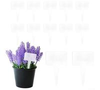 Wlinfetity 12 etichette trasparenti in acrilico per erbe aromatiche, resistenti alle intemperie, targhette per piante per interni ed esterni, facili da inserire, adatte per alberi da frutto, fiori