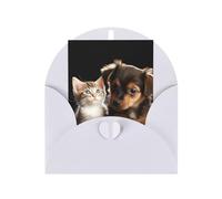 WLKSNBVD Biglietto di auguri con buste, simpatici gatti e cani che giocano a pensare a te, biglietti vuoti per compleanno, baby shower, congratulazioni, matrimoni, ringraziamenti, tutte le occasioni