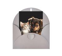 WLKSNBVD Biglietto di auguri con buste, simpatici gatti e cani che giocano a pensare a te, biglietti vuoti per compleanno, baby shower, congratulazioni, matrimoni, ringraziamenti, tutte le occasioni