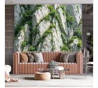 WLLDDDIU Murales Panoramico 3D con Piante Naturali Su Scogliere, Parafuse in Vinile Autoadesivo Impermeabile Decorazione Murale Rimovibile per La Casa in Soggiorno, Camera da Letto, Sfondo Tv 280×1