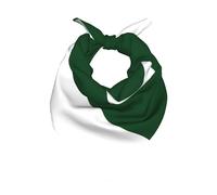 WMASTNjgdA Sciarpa per capelli con bandiera dell'Arabia Saudita stampata in raso e sciarpa per capelli per donne e uomini, sciarpa quadrata in poliestere, Bandiera del Pakistan 15, 22"x22"