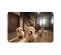 WMASTNjgdA Zerbino personalizzato con motivo "Il piccolo cane nella stanza" - Zerbino per interni ed esterni - Tappetino di benvenuto personalizzato con materiale in poliestere resistente e fondo