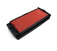 WMENZT Elemento Filtrante per Filtro Aria Motore per ZONTES ZT310R ZT310X ZT310T ZT250R ZT-310X/T/R