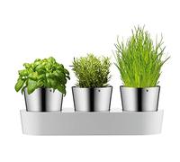 WMF Vaso per erbe gourmet con sistema di irrigazione in 3 parti, giardino delle erbe per la cucina, 36x 12,5x 12,5 cm, per erbe aromatiche fresche, bianco