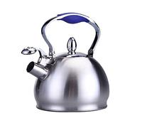 Wmmner Bollitore da Tè da 5 L Bollitore da Cucina Teiera con Manico Pieghevole Ergonomico Resistente Al Calore Bollitore da Tè in Acciaio Inossidabile per Uso Alimentare per Piano Cottura Matrimonio