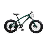 Wmmner Hardtail Mountain Bike 20 Pollici per Donne,Bicicletta da Montagna Fat Tire Girls con Sospensione Anteriore e Freni a Disco Meccanici, Telaio in Acciaio ad Alto Tenore Di Carbonio e Sedile Rego