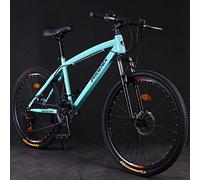 Wmmner Hardtail Mountain Trail Bike 24 Pollici per Donne Adulte, Bicicletta da Montagna per Ragazze con Sospensione Anteriore e Freni a Disco Meccanici, Telaio in Acciaio Al Carbonio e Sedile Regolabi