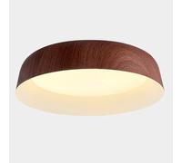 Wmmner Household Super Bright Panel Lights Tri-Tone Light Simple Ceiling Lighting Fixtures Canopy Easy to Install Flat Lights Led Ceiling Lamp for Living Room Bedroom Foyer Hallway/16.5In