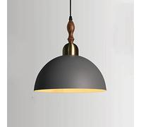Wmmner Lampada a Sospensione Coloraron Lampada a Sospensione Semplice Semicircolare Lampadario Moderno E27 a Testa Singola Lampada da Soffitto Europea Cava per Fast, Ufficio, Bar/Cenere/9,8 Pollici