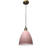 Wmmner Lampada a Sospensione in Metallo a Testa Singola, Lampadario a Incasso, Lampada a Sospensione in Stile Minimalista, Plafoniera, Illuminazione per Decorazione Bar, Lampadario a Sospensione a Sof