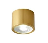 Wmmner Lampada da Soffitto in Ottone Faretto Modern Accent Spot Lighting Plafoniera da Soffitto a Led per Interni Mini Plafoniera per Corridoio Balcone Ingresso Foyer Scala Corridoio Loft Ristorante (