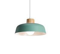 Wmmner Multicolour Hanging Lamp Modern Elegant Light Led Bohemian Ceiling Lighting Fixture 1-Lightaron Suspensiom Lamp for Restaurants Office Light Bar Coffee Shop/Verde/14.9In