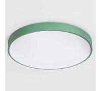 Wmmner Roundaroon Flat Surface Lights Ultra-Thin 1.9In Panel Lights Colorful Super Bright Ceiling Lamp Simplicityaroon Ceiling Lighting Fixtures Restaurants Dimmable Canopy Lights/Verde/19.7In