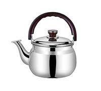 Wmmner Teiera Classica Acqua Bollente in Acciaio Inossidabile Bollitore da Tè Addensare Teiera Di Capacità Beep Promemoria Teiera Adatta per Fornello a Induzione Teiera (Un Colore 1L)/un Colore/0.6L