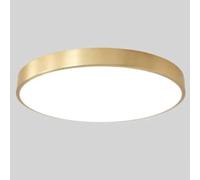 Wmmner Tutte Le Plafoniere Dimmerabili in Rame Lampada a Pannello Industriale per Camera da Letto Stile Minimalista Luci a Soffitto a Led Alla Moda Lampada a Pannello Ultrasottile in Stile Vintage per