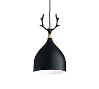 Wmmner with Creative Hanging Lights Small Restaurant Light Led European Ceiling Light Shade Personality Metal Suspensiom Lamp for Kitchen, Bedside Indoor Rustic Teahouse Café/Nero