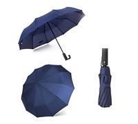 WMYDNXXT Ombrelli Antivento Doppio Strato Resistente Ombrello Completamente Automatico Pioggia Uomo Donna Affari Uomo Grandi Ombrelli Parasole(Blue)