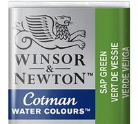 Winsor & Newton 301696 Cotman Colori Acquerello, Viridian, Verde (Sap Green), 1.9x1.6x1.1 cm, 1 unità