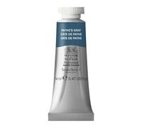 WN ACQUERELLO PROFESSIONALE 14ML - Grigio di Payne