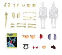 WNXGNHO Set Interattivo per L'apprendimento Anatomia per Bambini Modello STEM del Corpo Umano con Organi Rimovibili Strumento Scientifico per L Giocattolo per Le Mani sulla Struttura del Corpo