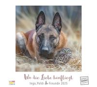Wo die Liebe hinfliegt 2025 - Ingo, Poldi und Freunde - Wandkalender mit Spiralbindung - DUMONT Quadratformat 23 x 23 cm: Ingo, Poldi & Freunde