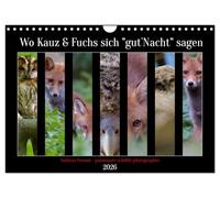 Wo Kauz & Fuchs sich "gut`Nacht" sagen (Wandkalender 2026 DIN A4 quer), CALVENDO Monatskalender: Als ein Freund von Fuchs und Waldkauz lag es mir am ... in ihrer natürlichen Umgebung zu zeigen.