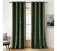 Woaboy Tende Oscuranti in Velluto Tenda in Velluto Camera da Letto Termiche Isolanti Tende per Interni Elegante 2 Pezzi Tenda Opache Modello 140x215cm Verde Chiaro
